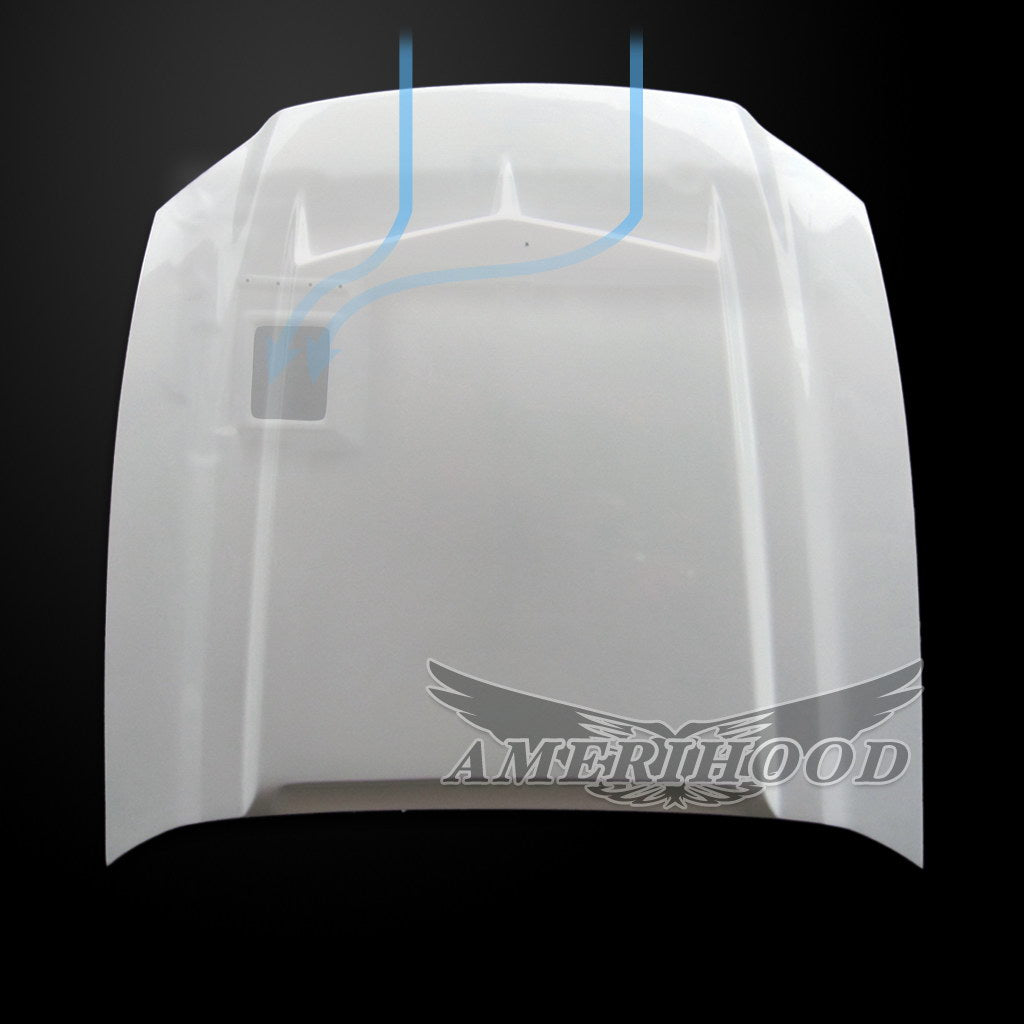 Ford Mustang GT500 2010-2014 Type-C Style Functional Ram Air Hood